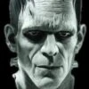 "Universal Studios Frankenstein" Mask -Halloween Costumes Store universal studios frankenstein halloween mask 8179988225