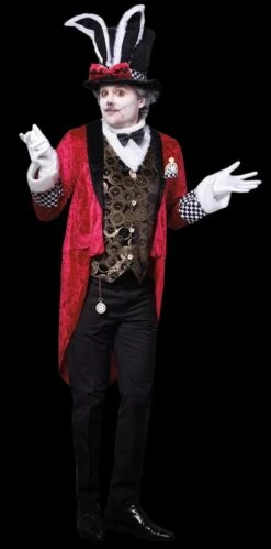 "White Rabbit" Costume (Adult)