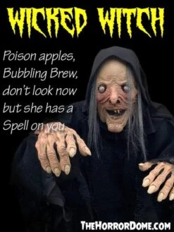 "Wicked Witch" HD Comfort Costume 9 "Wicked Witch" HD Comfort Costume -Halloween Costumes Store wicked witch hd studios comfort fit halloween costume 14335789858864