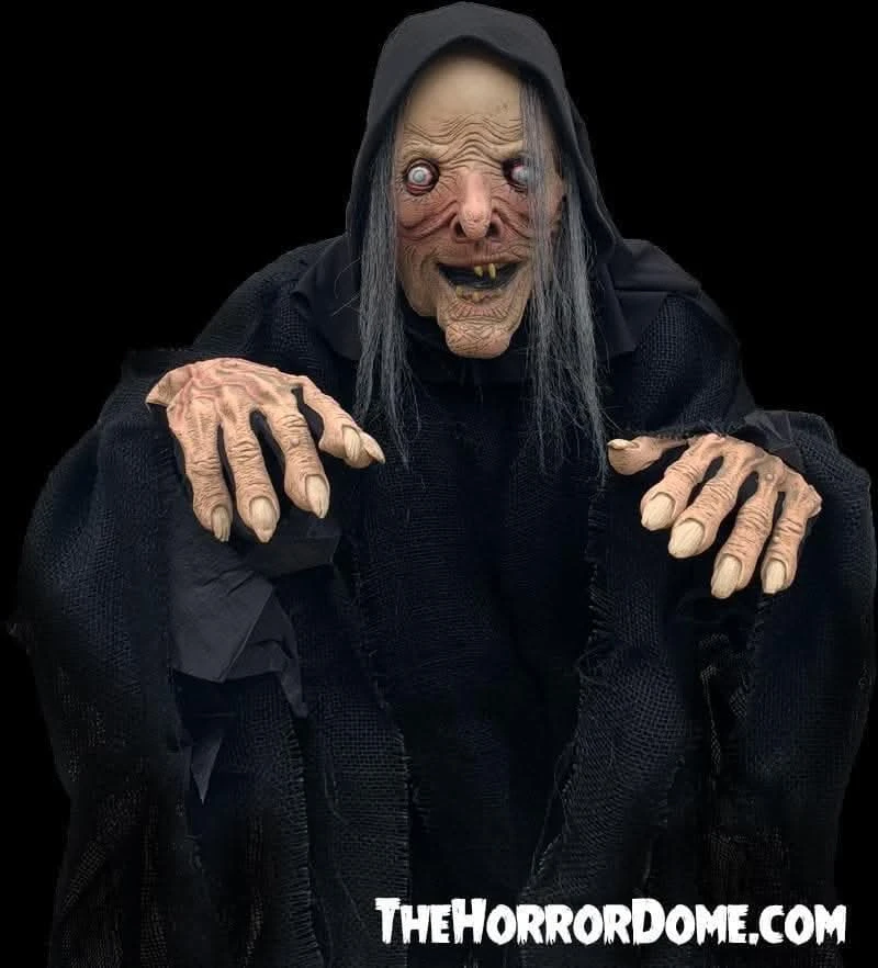 "Wicked Witch" HD Comfort Costume 5 "Wicked Witch" HD Comfort Costume - Image 3