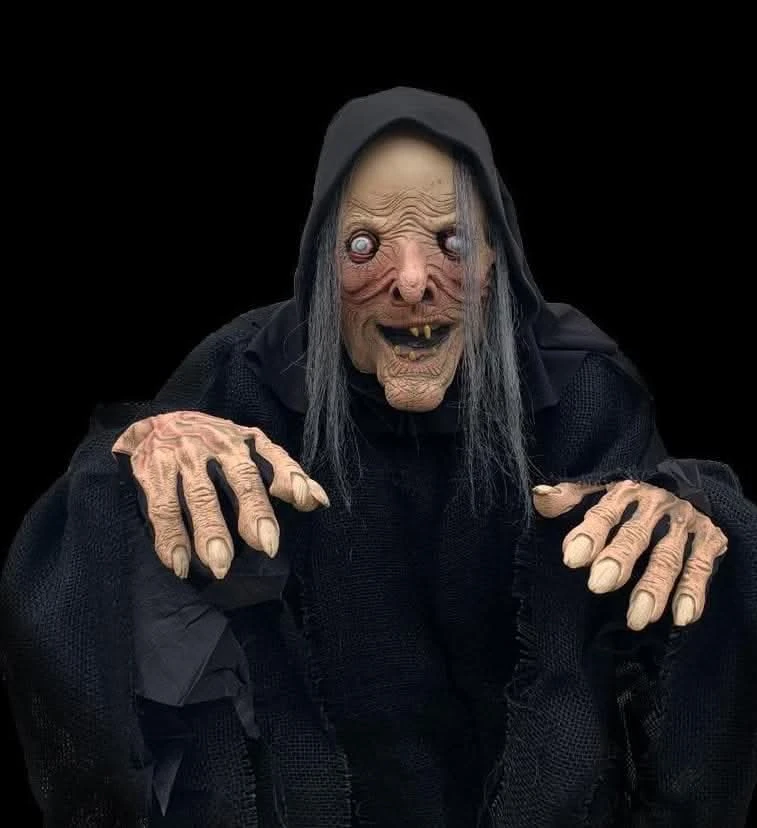 "Wicked Witch" HD Comfort Costume 4 "Wicked Witch" HD Comfort Costume - Image 2