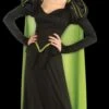 "Wicked Witch Of The West" Costume (Adult) -Halloween Costumes Store wicked witch of the west women s halloween costume adult 28426752950320