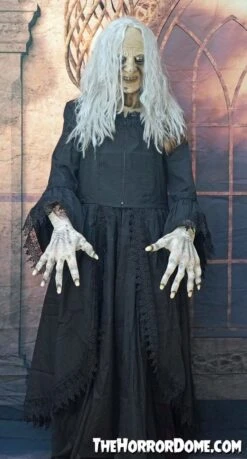 "Witchy Woman" HD Studios Costume -Halloween Costumes Store witchy woman hd studios halloween costume 28885599977520