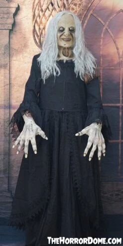 "Witchy Woman" HD Studios Costume -Halloween Costumes Store witchy woman hd studios halloween costume 28885601943600