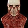 "Yorick Bloody Skull" Silicone Mask -Halloween Costumes Store yorick bloody skull silicone halloween mask 14160015818800