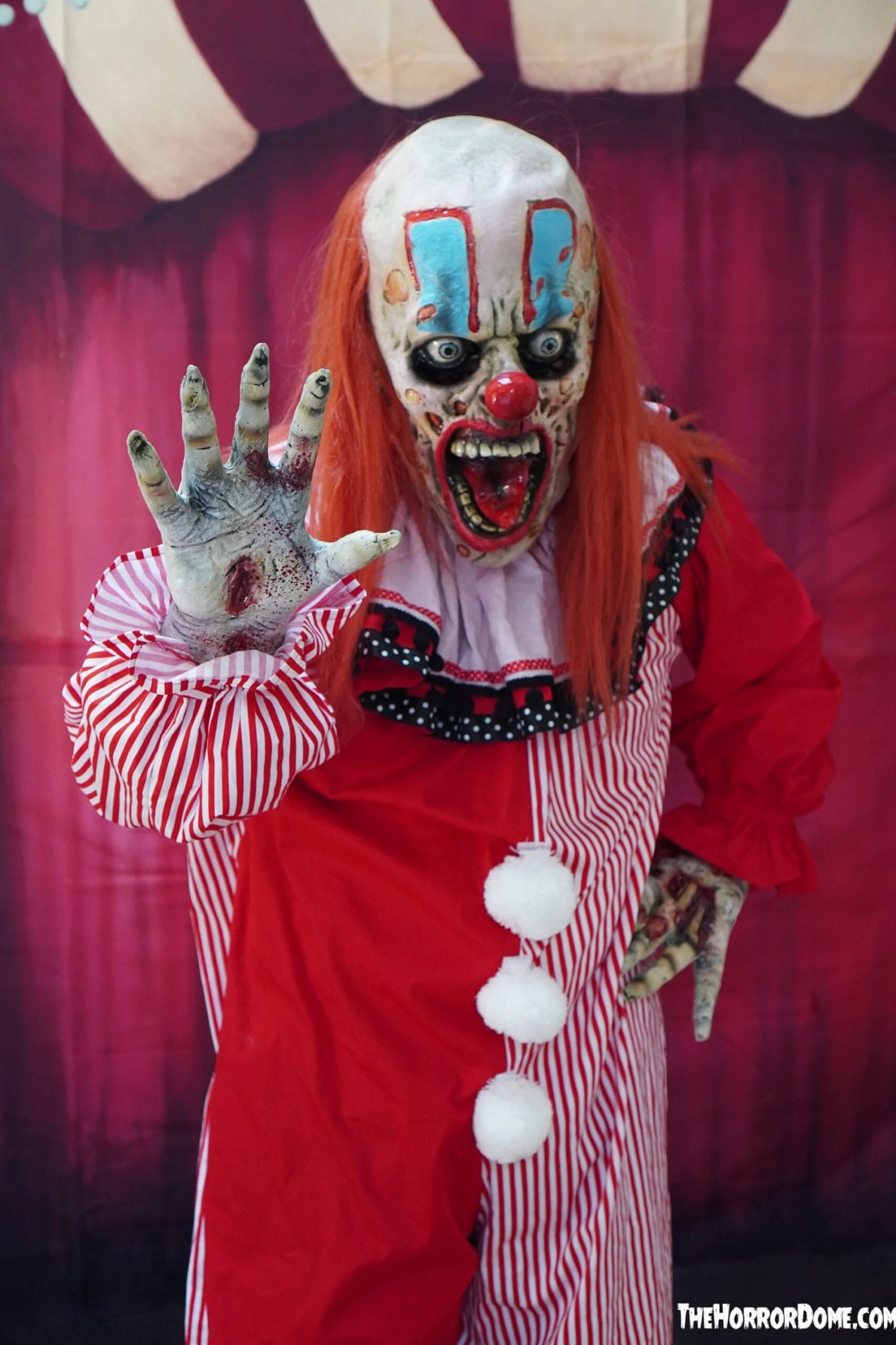 "Zero The Clown" HD Studios Costume 5 "Zero The Clown" HD Studios Costume - Image 3