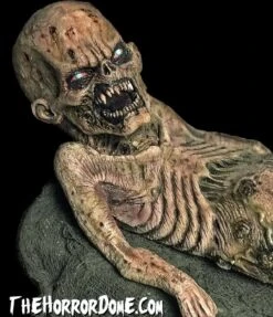 "Zombie Baby" HD Studios Halloween Puppet Prop 11 "Zombie Baby" HD Studios Halloween Puppet Prop -Halloween Costumes Store zombie baby hd studios halloween puppet prop 28757064253488