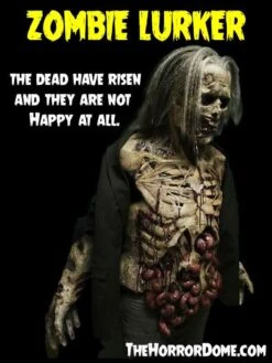 "Zombie Lurker" HD Studios Pro Costume 19 "Zombie Lurker" HD Studios Pro Costume -Halloween Costumes Store zombie lurker hd studios pro halloween costume 28754332680240